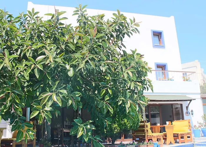 호텔 Oya Butik Bodrum