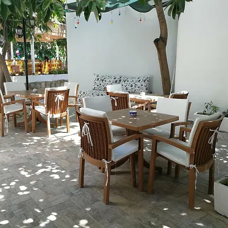 호텔 오야 부티크 오텔 앤 스위트 Bodrum