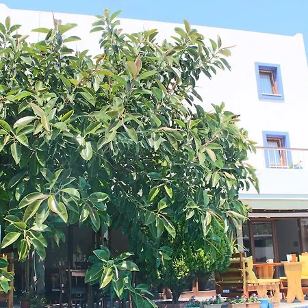 Szálloda Oya Butik Bodrum
